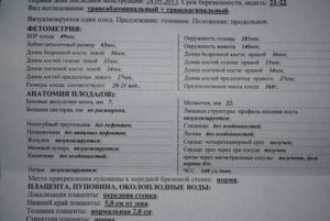 Узи в 20 недель беременности показатели нормы таблица