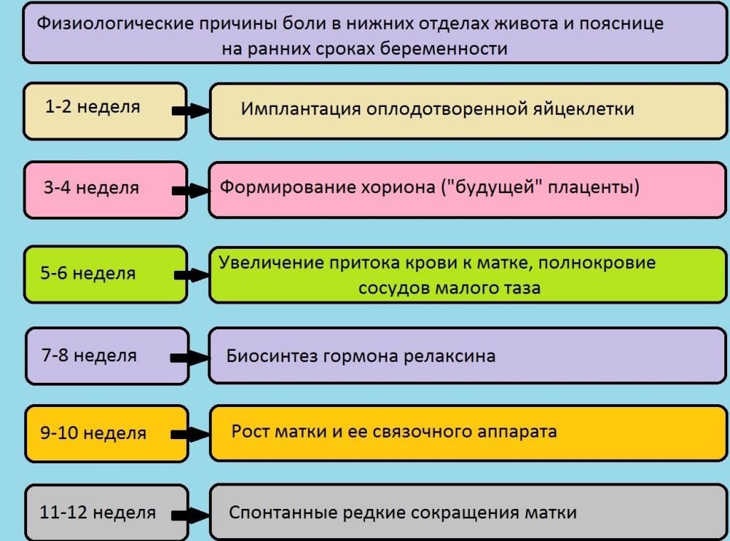 На 5 неделе беременности болит живот