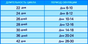 В какой период происходит овуляция