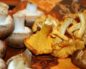 Можно ли грибы кормящей маме