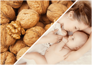 Можно ли грецкие орехи кормящей маме в первый месяц