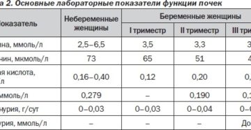 Белок в моче на 39 неделе беременности