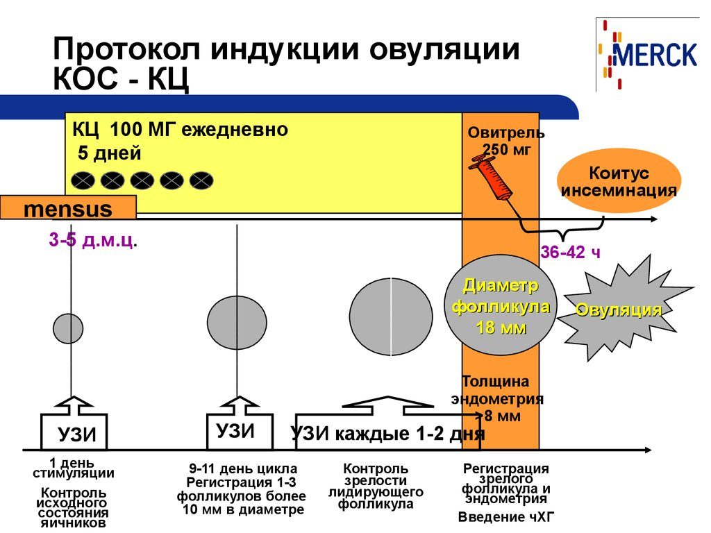 Стимуляция овуляции клостилбегитом