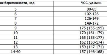 Норма сердцебиения плода на 32 неделе беременности