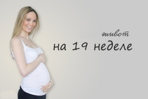 19 неделя беременности низ живота болит