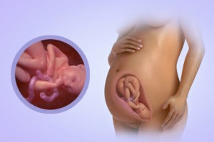 35 недель беременности ребенок активно шевелится