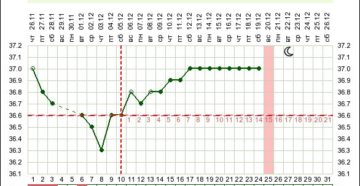 На 21 неделе беременности температура