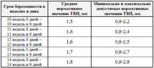 Норма воротниковой зоны в 12 недель беременности