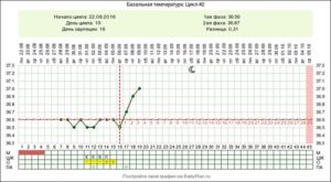 Календарь овуляции элевит