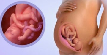 Шевеления плода на 36 неделе беременности