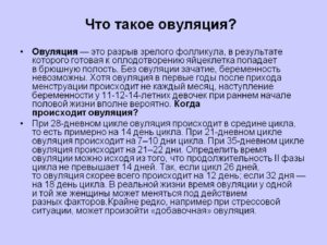 Овуляция что это такое простыми словами