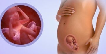 Шевеление плода на 19 неделе беременности