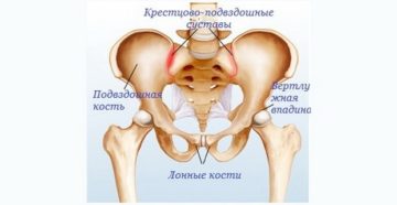 37 неделя беременности болит промеж ног и лобковая кость