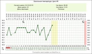 Если цикл 28 дней когда овуляция