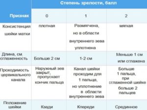 Шейка матки на 38 неделе беременности норма