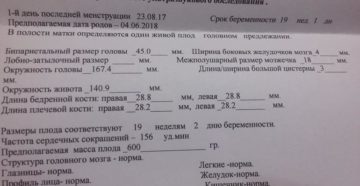 Узи на 26 неделе беременности показатели нормы