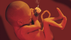 Курение на 25 неделе беременности
