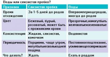 Отошла пробка на 39 неделе беременности когда рожать