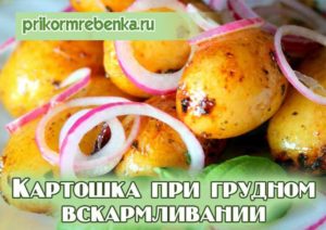 Можно ли картофель кормящей маме