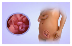 17 неделя беременности ощущения в животе шевеление