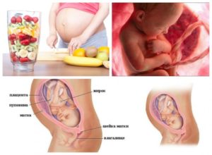 Расположение плода на 30 неделе беременности
