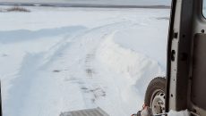 Популярные брендовые кроссовки доставляются по всей России